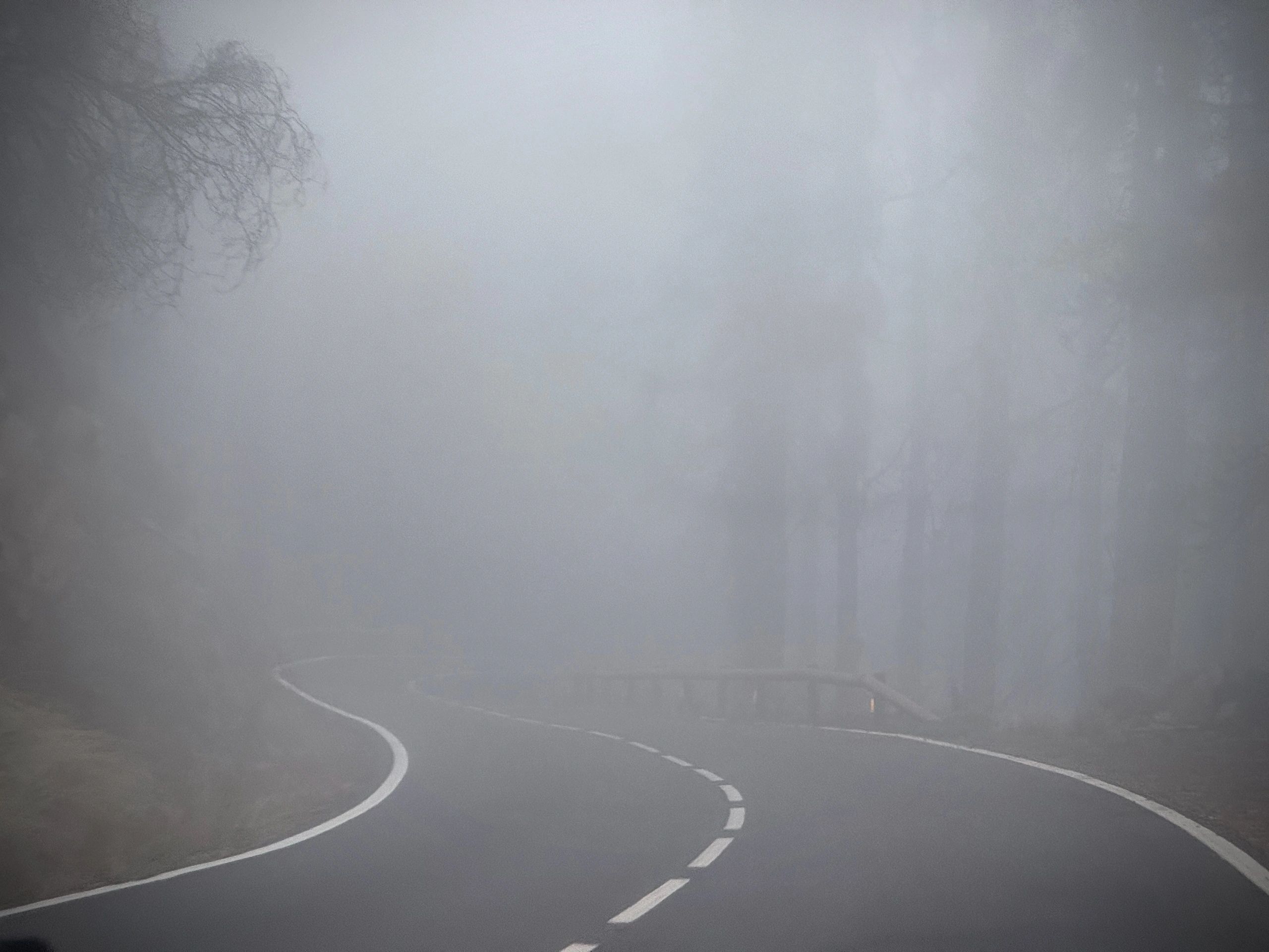 Foggy mountain road