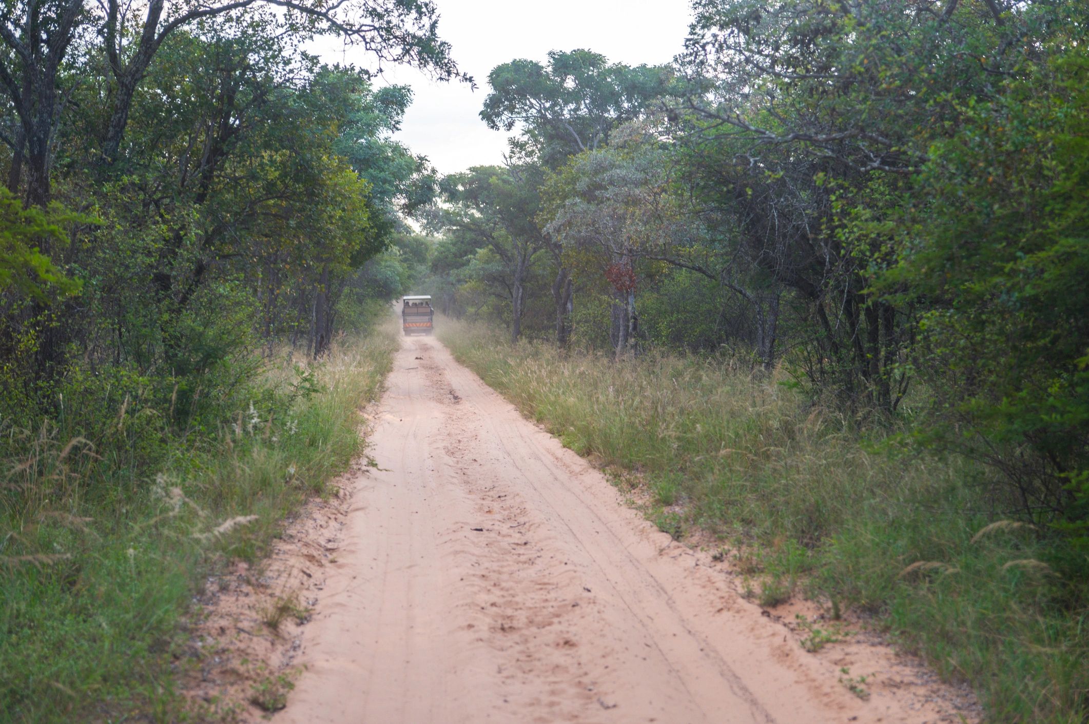 Off-road vehicle driving through a sandy trail